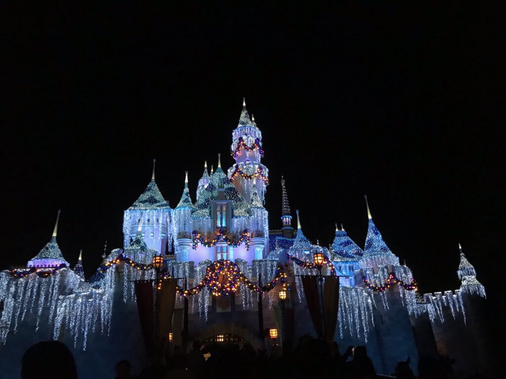 Cinderella's Castle, Winter 2019