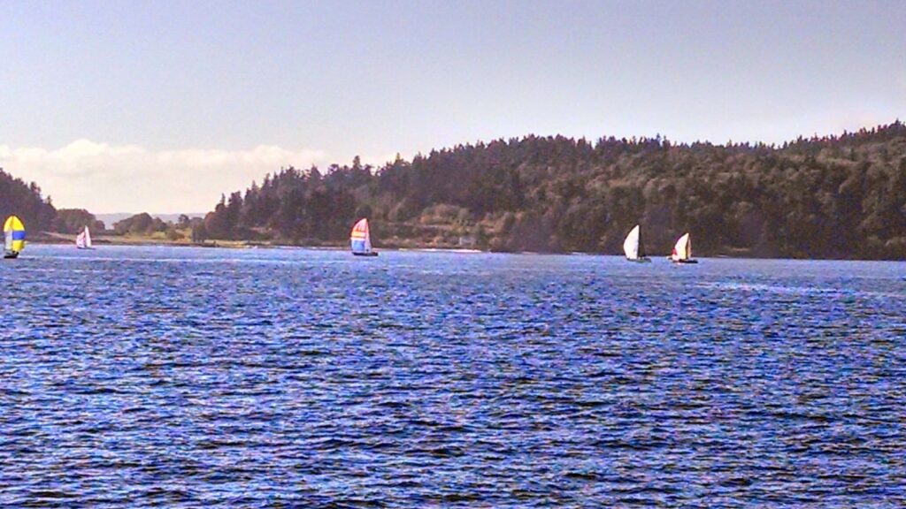 A view of sailboats on Puget Sound near Bainbridge Island