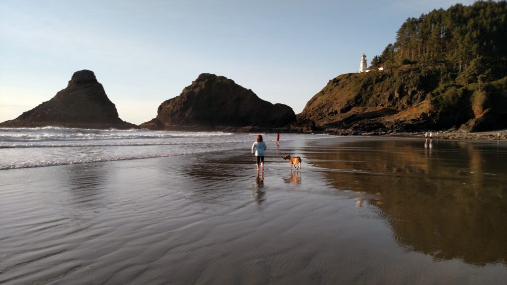 A photo of a girl on the beach with her dog. Heceta Head Lighthouse is in the background.